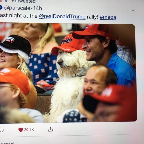 Meet your Posher, Solange - Picture 1 of 1